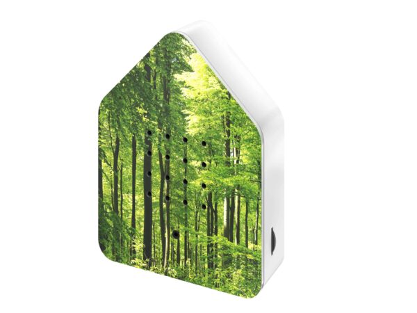 Zwitscherbox Special Edition Forest / Wald