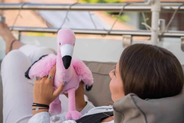Habibi Premium Flamingo Wärmekuscheltier – zum Kuscheln und Erwärmen, waschbar, herausnehmbares Duftsäckchen – Bild 2
